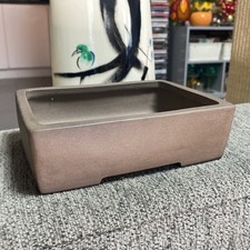 High Quality Rectangle Bonsai