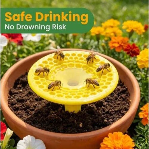 Bee butterfly water - butterfly, cup
