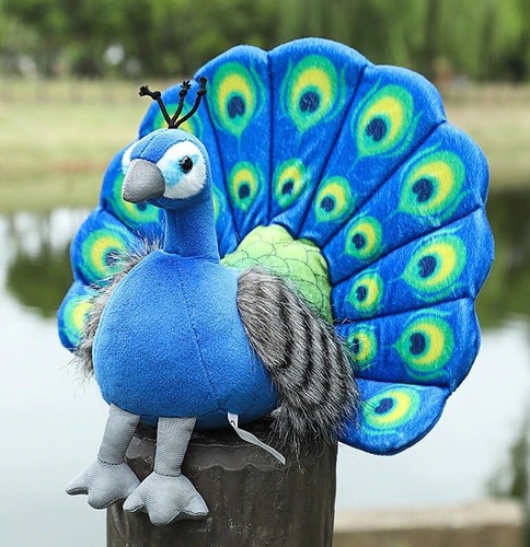 Peacock peafowl bird inch - peacock,