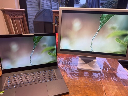 Apple a1081 cinema - apple, display