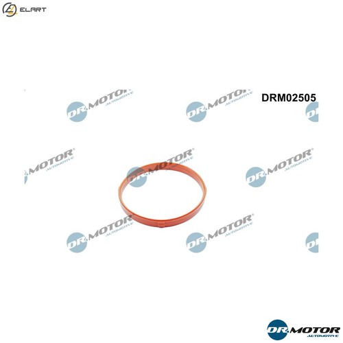 Gasket throttle body drm02505 - body,