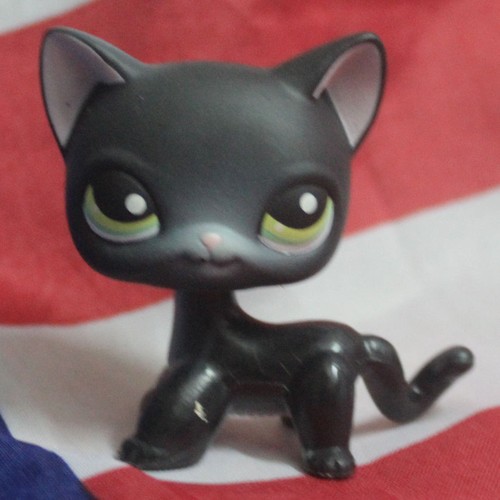Littlest pet shop short hair - littlest,