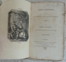 Antique Book 1806 Wild Flowers