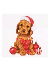 Thea Gouverneur Cross Stitch