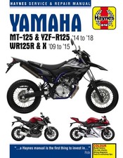 Yamaha MT-125, YZF-R125