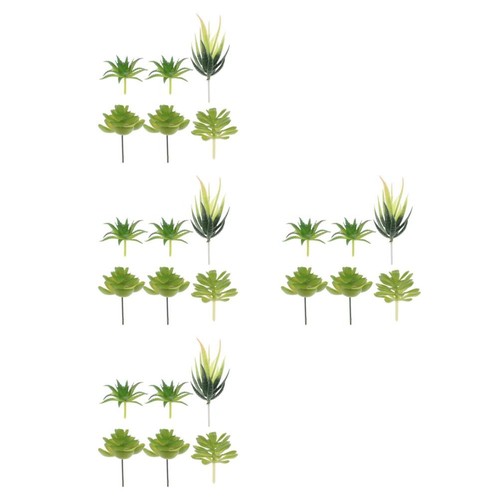 Count tiny succulents mini - 4,