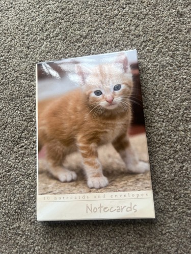 Ginger kitten notecard - kitten,