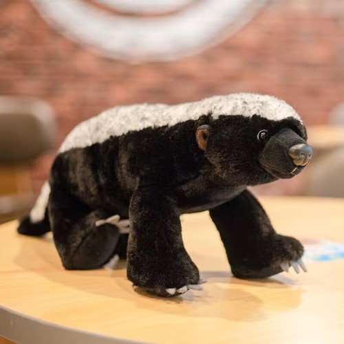 40cm cute honey - badger, ratel