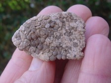 Nice High Grade CHALCEDONY