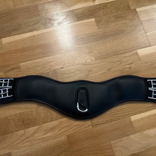 Collegiate anatomic dressage - collegiate,