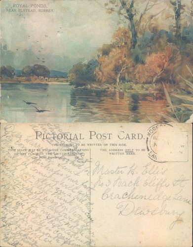 Royal ponds near elstead - ponds,