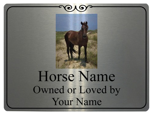 185 personalised horse name - personalised,