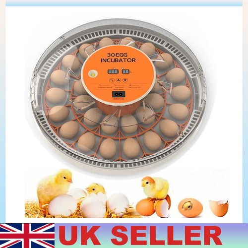 Digital egg incubator with - incubator,