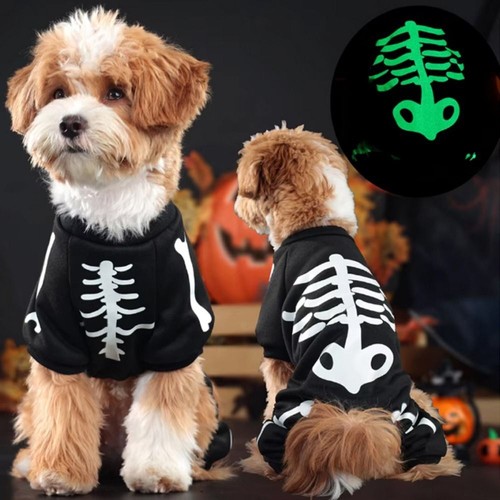 Funny skeleton dog halloween - funny,
