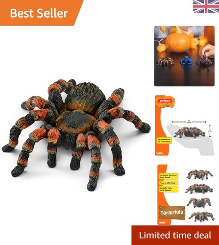Wild life tarantula - life,