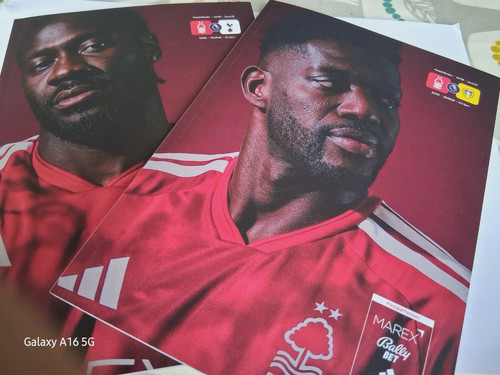 Nottingham forest bundle - forest,