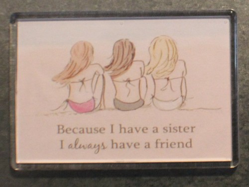 Extra large fridge magnet - extra,