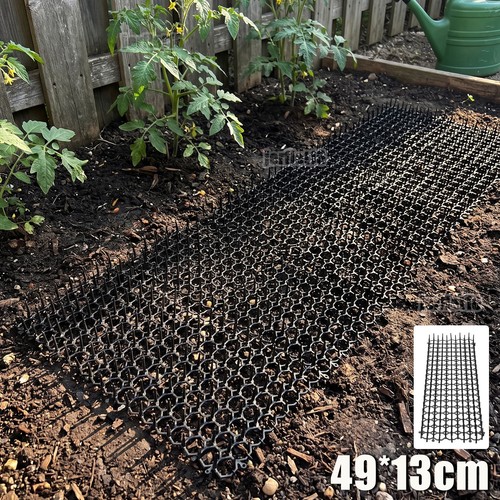 100 pack cat scat mat - 100,