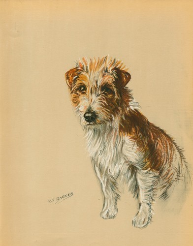 Jack russell terrier vintage - terrier,