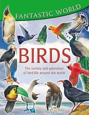 Fantastic world birds - of,