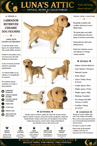 Vintage labrador retriever - vintage,