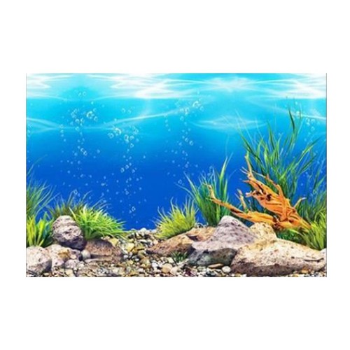 Effect aquarium - ,