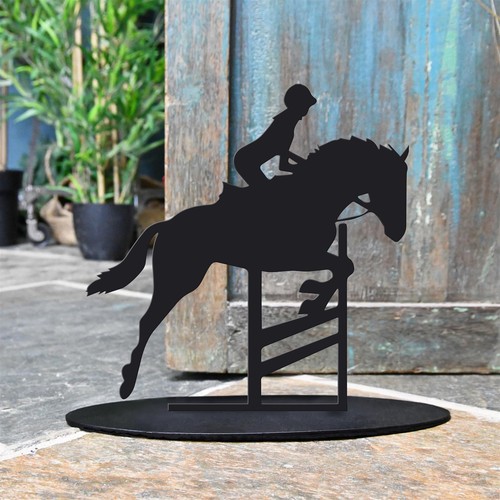 New showjumping horse - horse, black