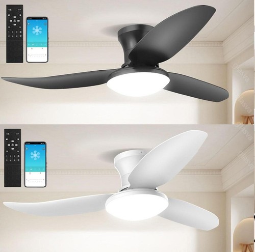 Large speed led ceiling - speed,