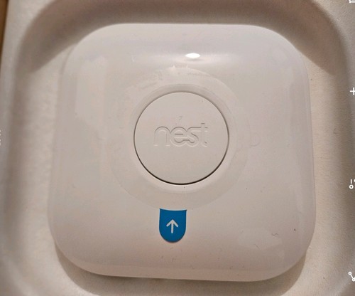 Google nest learning - google,