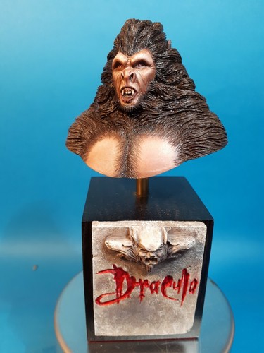 Bash models dracula wolf - as, a