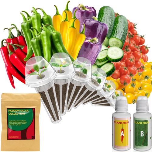 Salsa garden seed - garden,