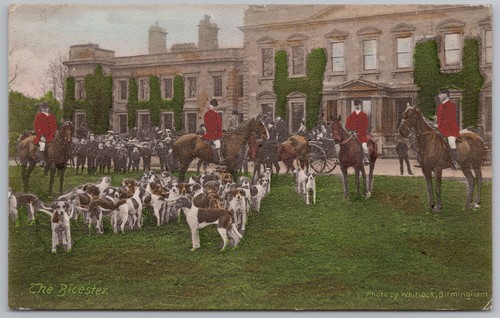 Meet the bicester fox - meet,