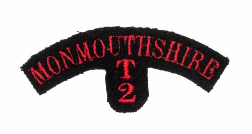 2nd territorial battalion - territorial,