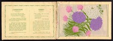 KENSITAS SILK FLOWERS  Postcard Size (Plain Back) - 1934 - Candytuft ~ Thrift