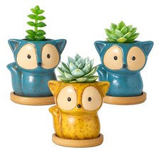 Ceramic Succulent Planter Pot
