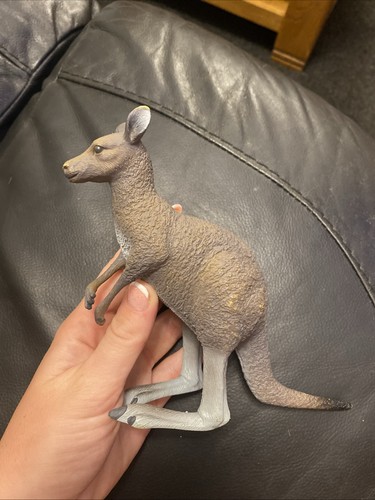 Animals australia eastern - animals,