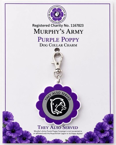 Murphy army purple - army,