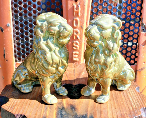 Vintage brass lion fire dogs - lion, x