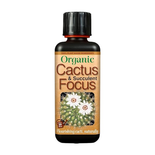Cactus succulent focus 300ml - cactus,