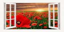Sunset Poppies Field England