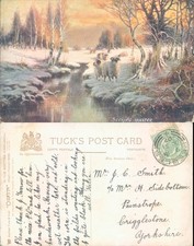 Seeking Shelter Raphael Tuck Sons 1907 postmark Winter Sheep