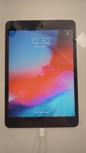 Apple ipad mini - ipad,