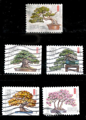 Bonsai stamps set 4618 22 - bonsai, 5