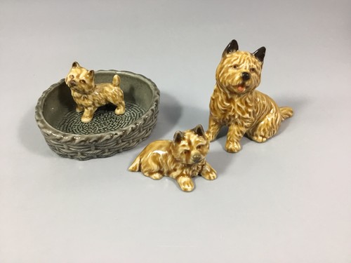 Cairn terriers bundle wade - of,