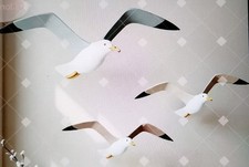 3 FLYING SEAGULLS 2D (Flat)