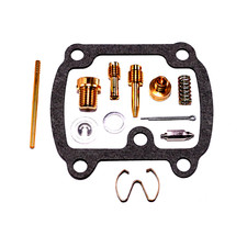 Carburetor Repair Kit for