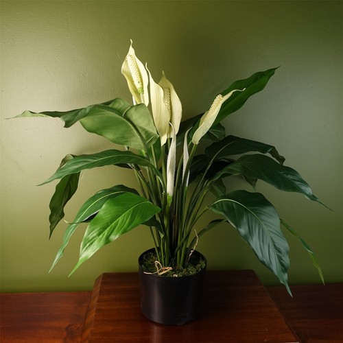 Artificial white peace lily - artificial,