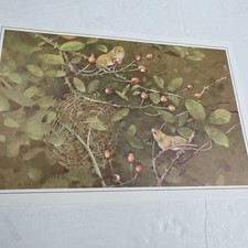 1978: Print Harvest mice Autumn leaves   #69 Xmas Gordon Beningfield picture 
