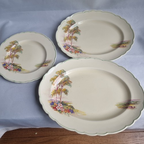 Vintage royal staffordshire - vintage,