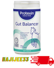 Brand NEW Equine Horse & Pony